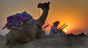 Jaipur, Rajasthan